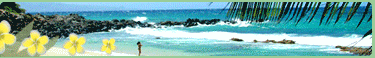 Hawaii Vacation Packages