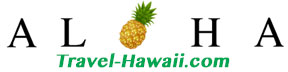 Travel Hawaii Pineapple Aloha Logo