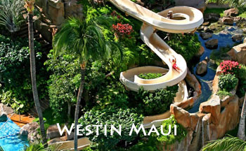 Westin Maui Resort & Spa