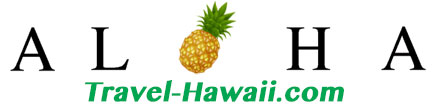 Travel Hawaii Pineapple Aloha Logo